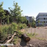 Baumstrunke und Steinhaufen im Wildgarten zur Förderung der Biodiversität, Wolkenpavillon, Thür Art Manufacture